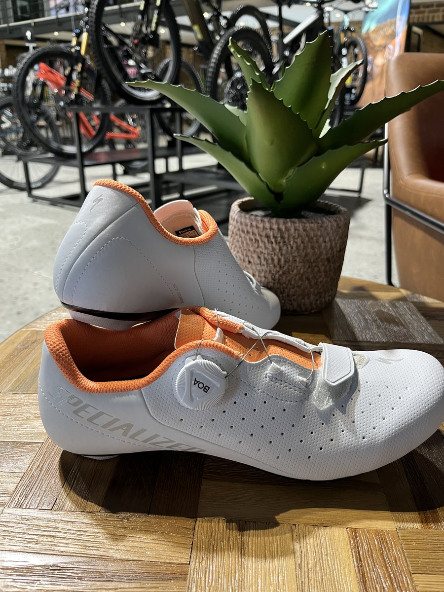 Complete Cyclist tweet media