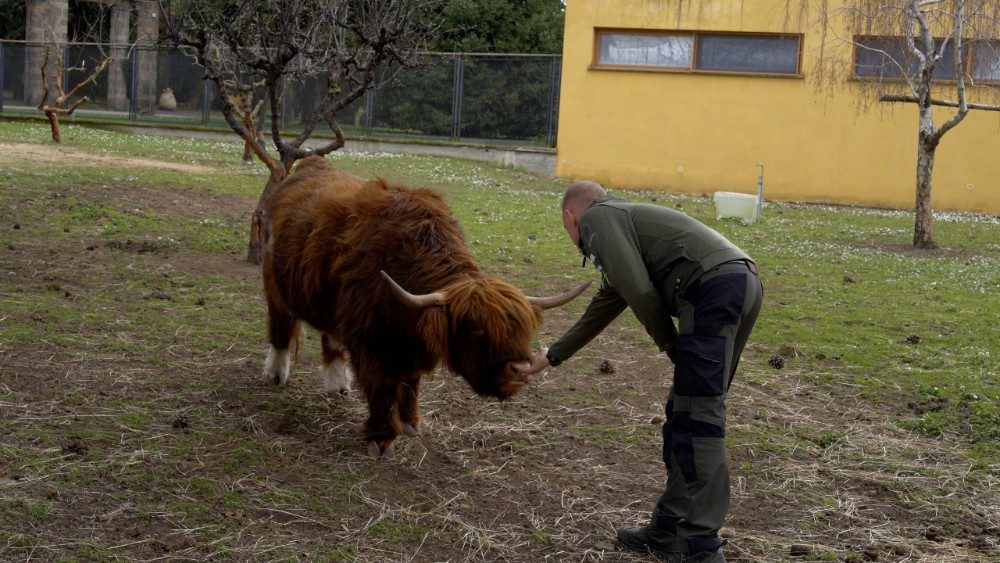 Alessandra Smerilli tweet media