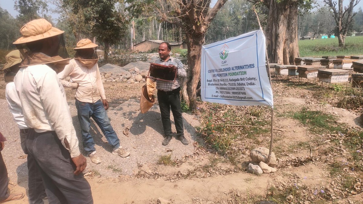ClapFounda5250's tweet photo. A field demonstration was conducted by @ClapFounda5250 at Dhanaura village, District Bijnor, Uttar Pradesh on 8th March 2026 to strengthen the bee keeping farmers through technical guidance and practical demonstrations. @AgriGoI @NationalBeeBoard https://t.co/c7YFHaIwWM