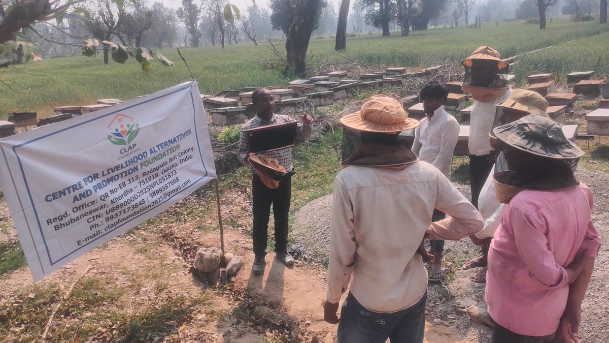ClapFounda5250's tweet photo. A field demonstration was conducted by @ClapFounda5250 at Dhanaura village, District Bijnor, Uttar Pradesh on 8th March 2026 to strengthen the bee keeping farmers through technical guidance and practical demonstrations. @AgriGoI @NationalBeeBoard https://t.co/c7YFHaIwWM