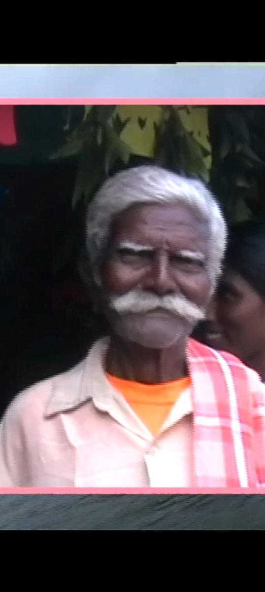 Black cat 🦚🐈‍⬛ tweet media