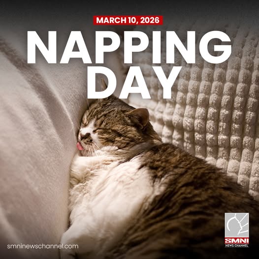 smninews's tweet photo. Inaantok ka ba sa trabaho ngayon? Don't worry, may valid reason ka mag-nap today dahil it's National Napping Day!

Take that power nap to increase energy, improve mood and productivity.

#NationalNappingDay 💤 https://t.co/Wv1Is4WHYS