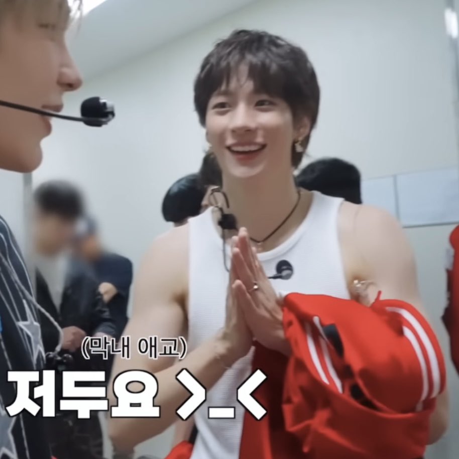 🐶🐷 tweet media