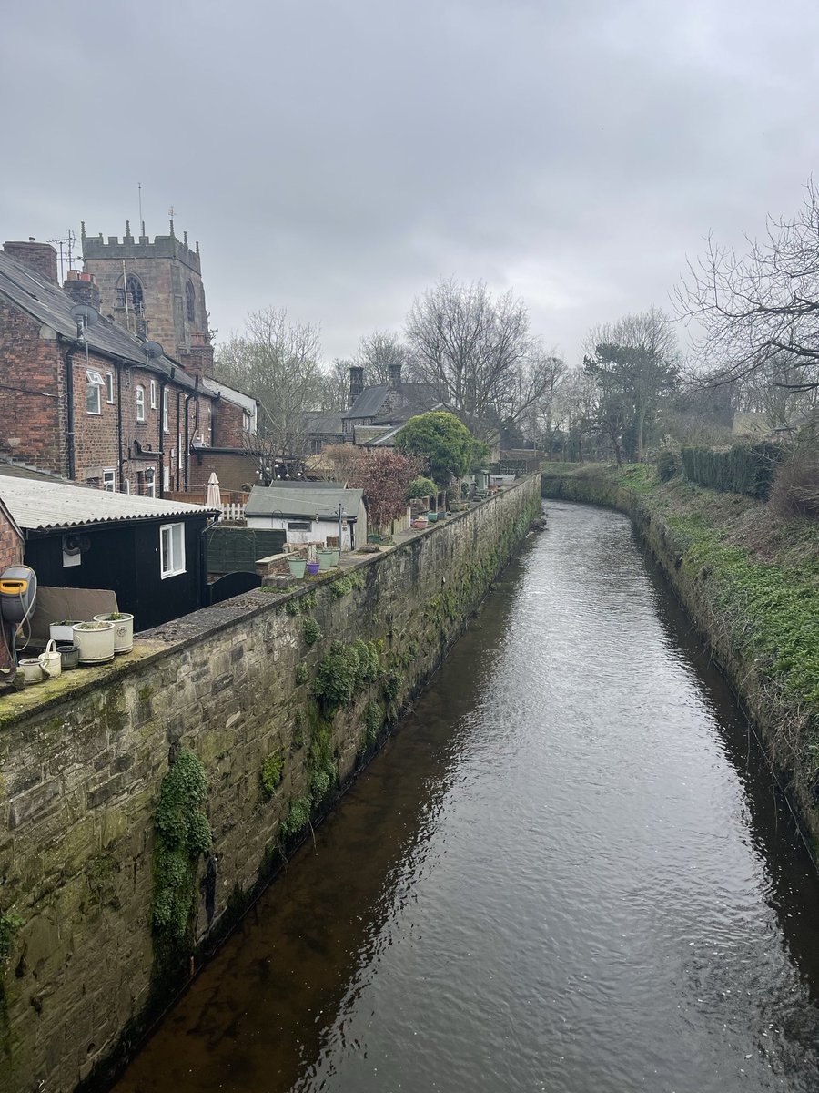 Will Sergeant tweet media