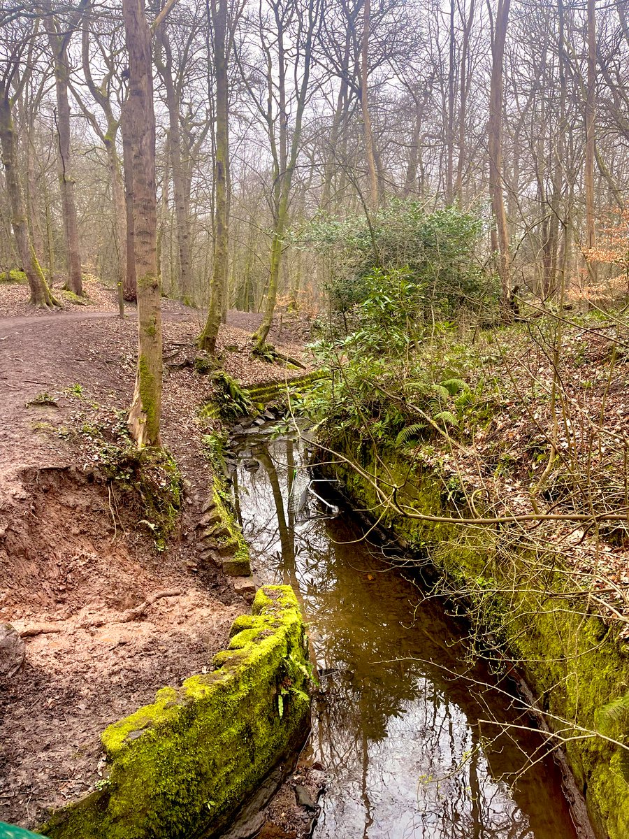 Will Sergeant tweet media