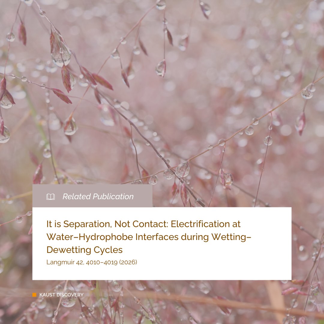 KAUST BESE tweet media