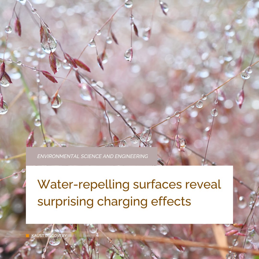 KAUST BESE tweet media