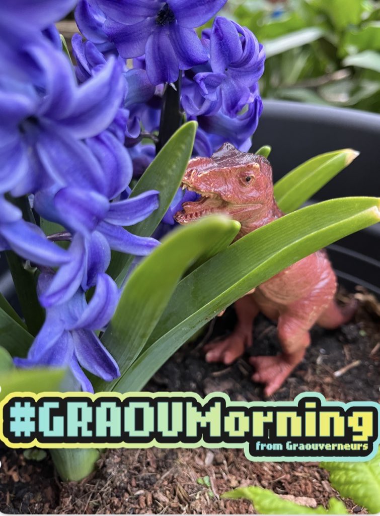 Princesse Lithanessa tweet media