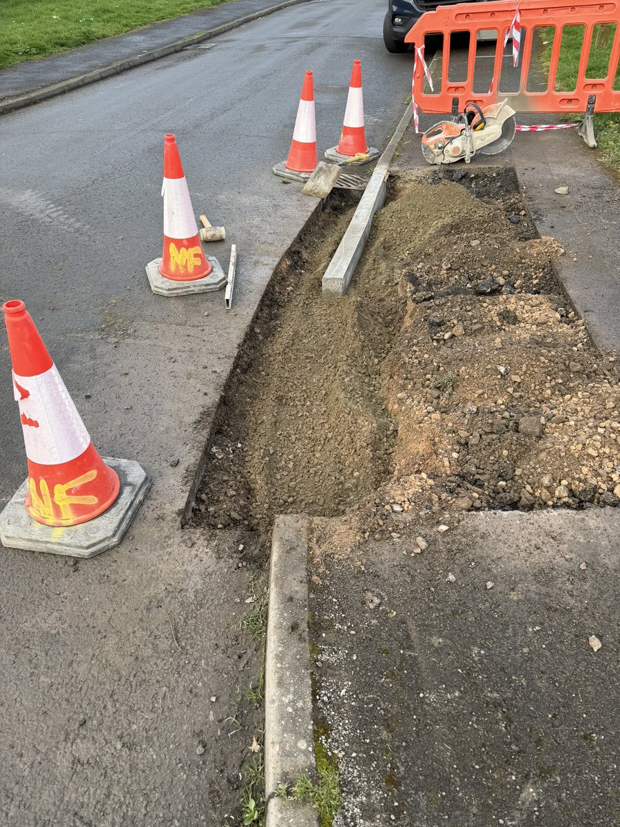 Noel Fitzpatrick Ltd tweet media