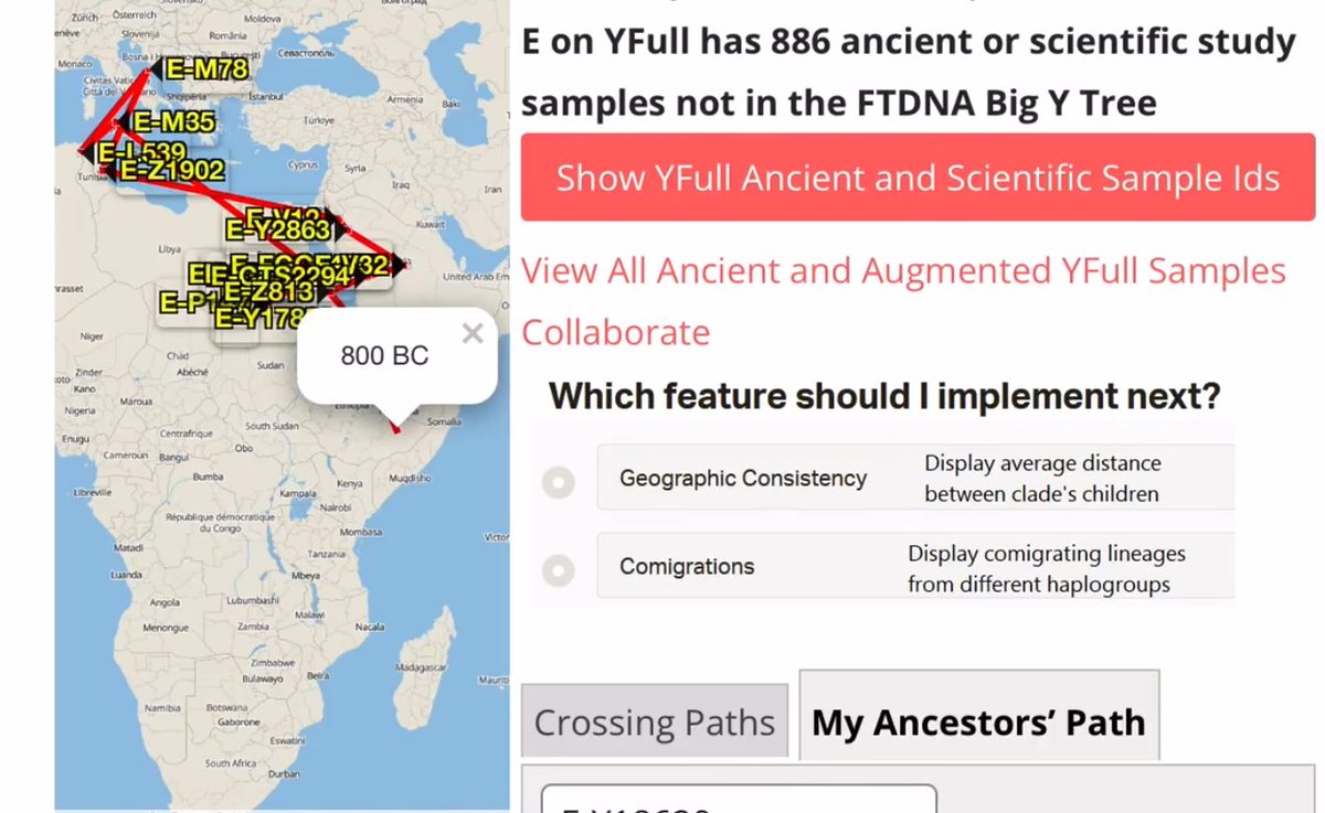 Arab Horner tweet media