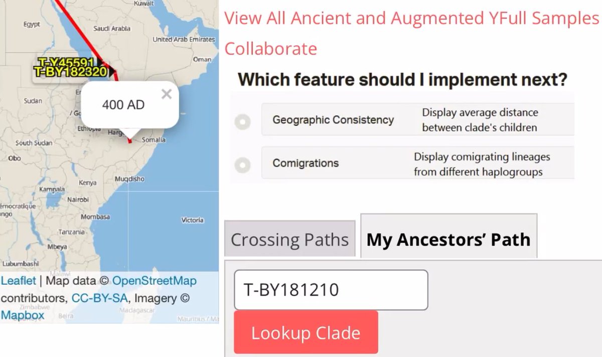 Arab Horner tweet media