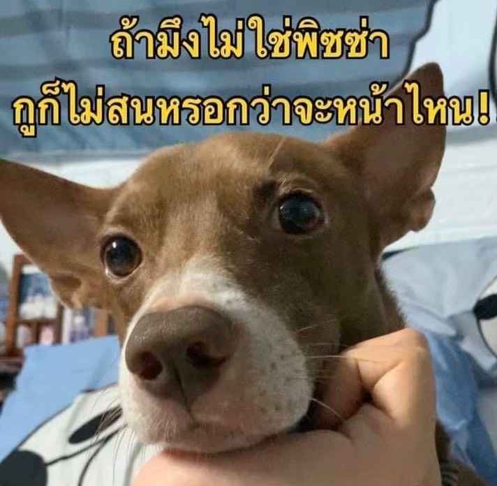 #อิโมจิน่ารัก #อิโมติคอน (@lemonsweet5555) on Twitter photo 