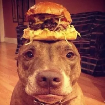 randylarps's tweet photo. #NewProfilePic https://t.co/MxsLapGKFf