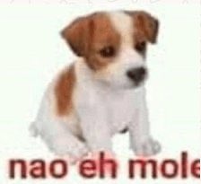 misturar e mexer tweet media