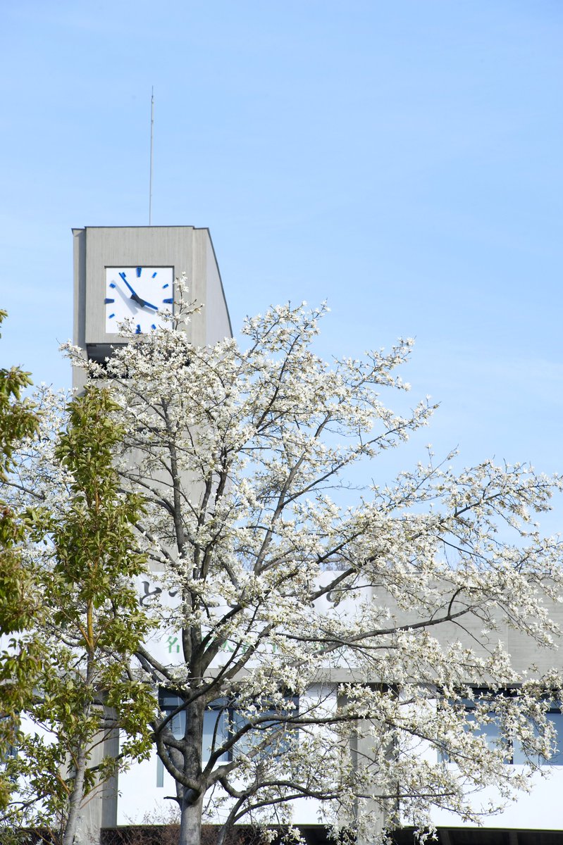 名古屋大学｜Nagoya Univ. tweet media