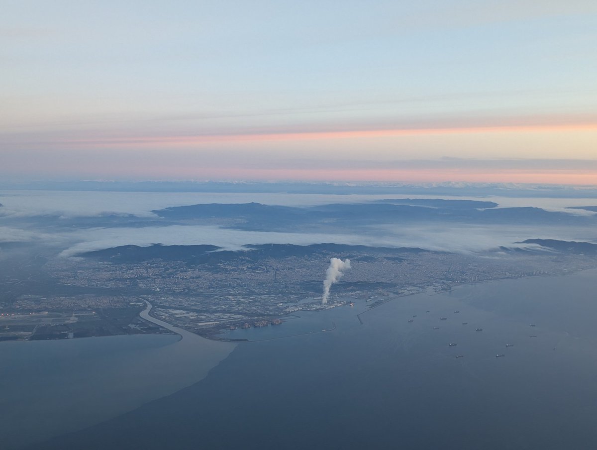 David TV tweet media