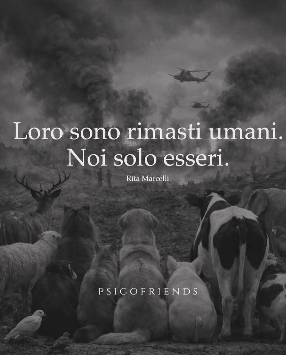 laura17557869's tweet photo. Buongiorno a chi è ancora “umano “ 
#ioamo https://t.co/nBSexXdQWg