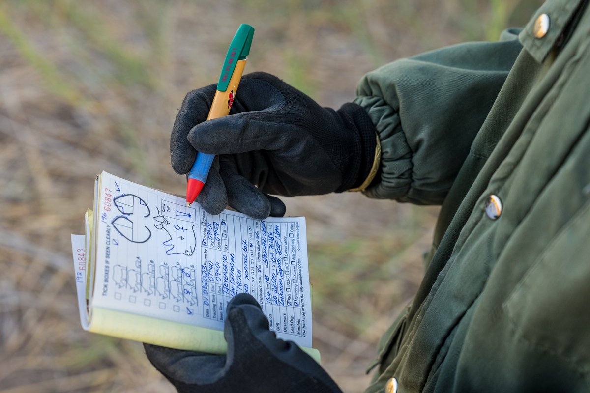 Save the Rhino Trust tweet media