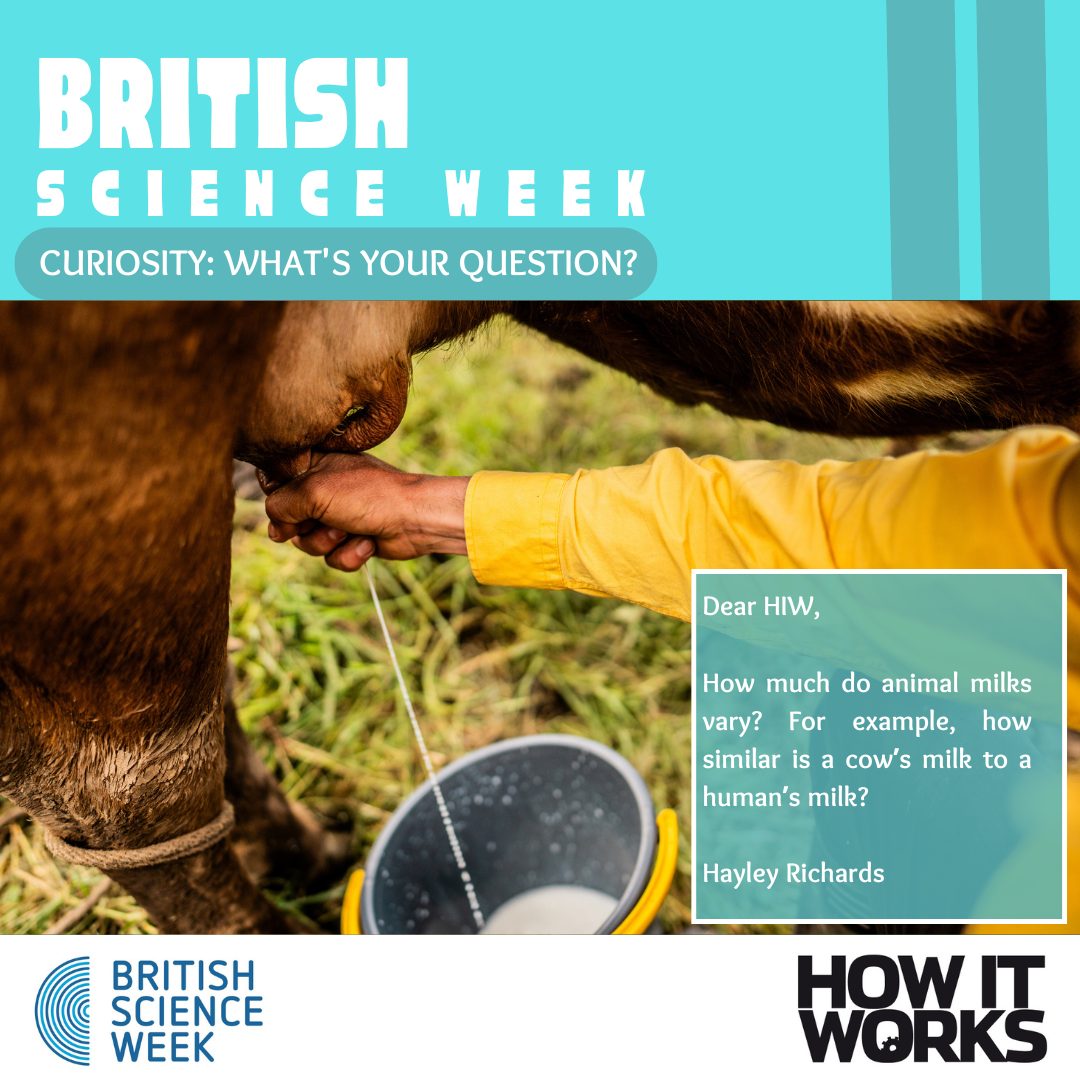 How It Works tweet media