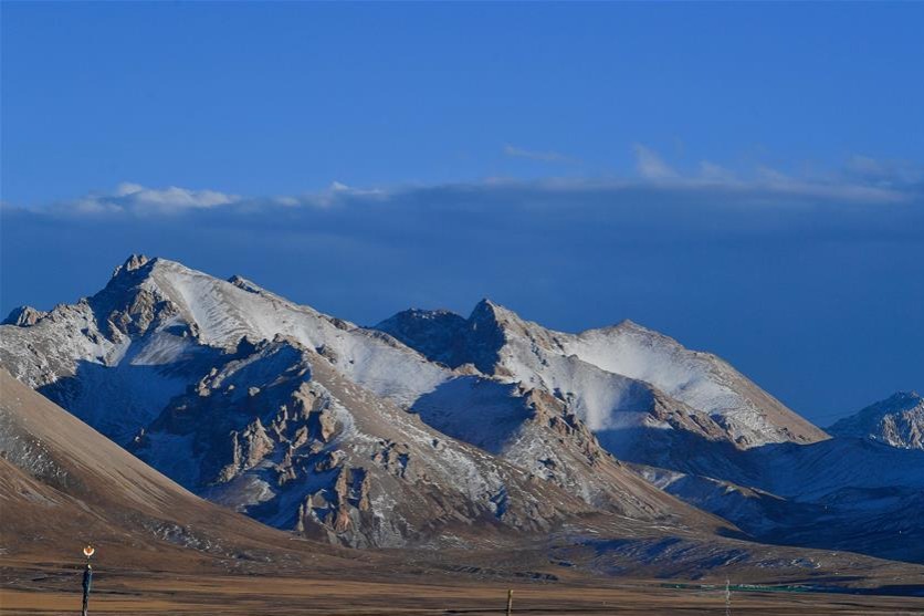 ISTA - International Seed Testing Association tweet media