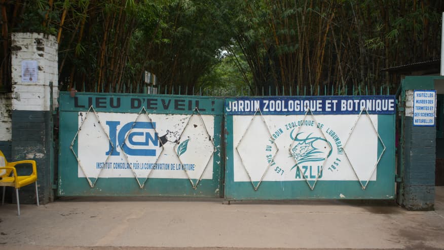 acprdcongo's tweet image. #RDC : la prise en charge de l'alimentation des animaux pensionnaires du Jardin zoologique et botanique de #Lubumbashi, dans le sud-est de la République démocratique du Congo, est menacée après la fin du contrat entre l’Association Les Amis du Zoo de Lubumbashi (AZLU) qui