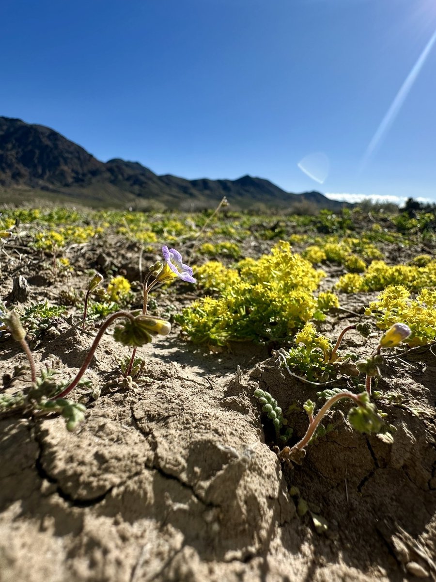 USGS Nevada tweet media