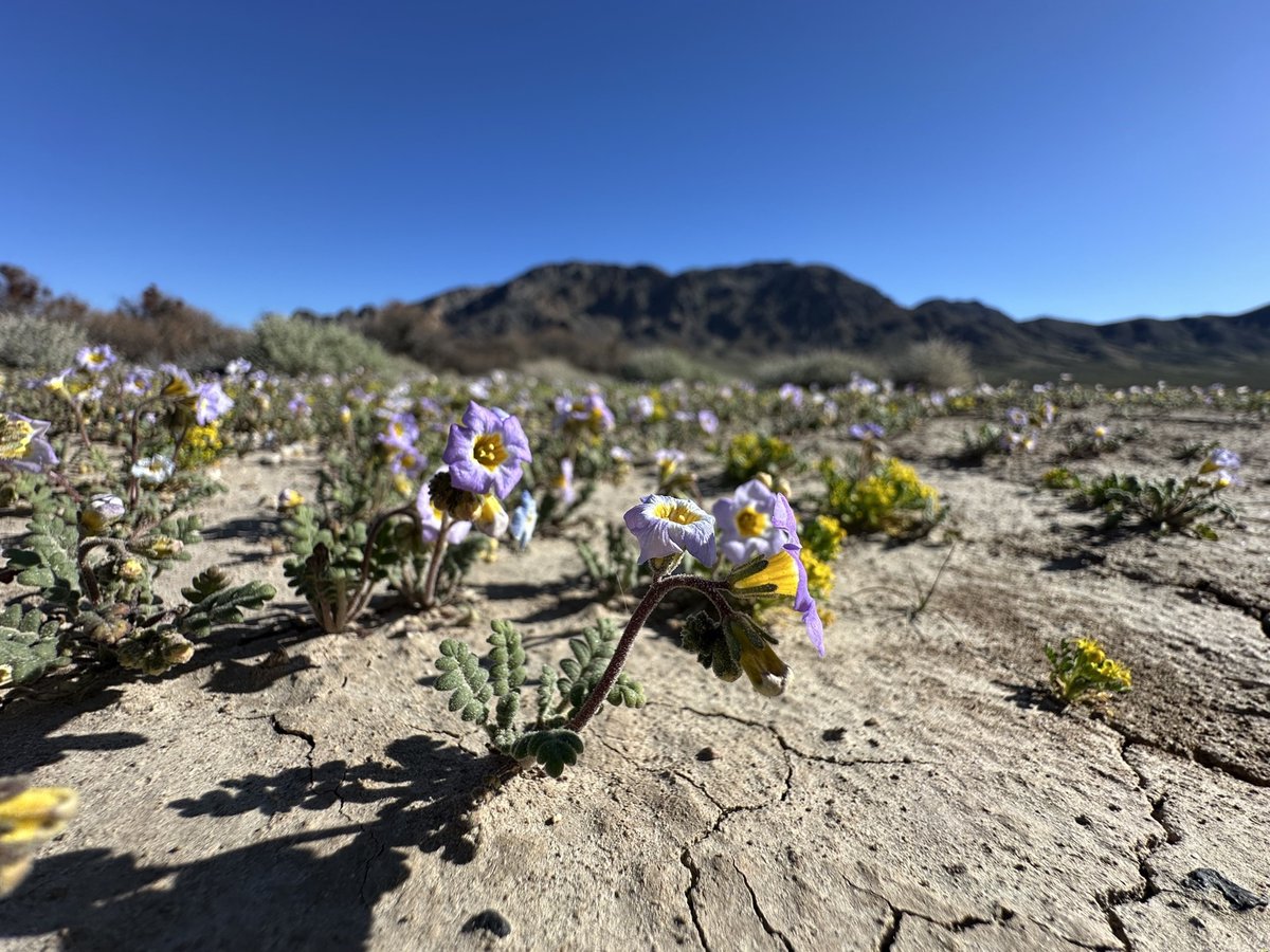 USGS Nevada tweet media