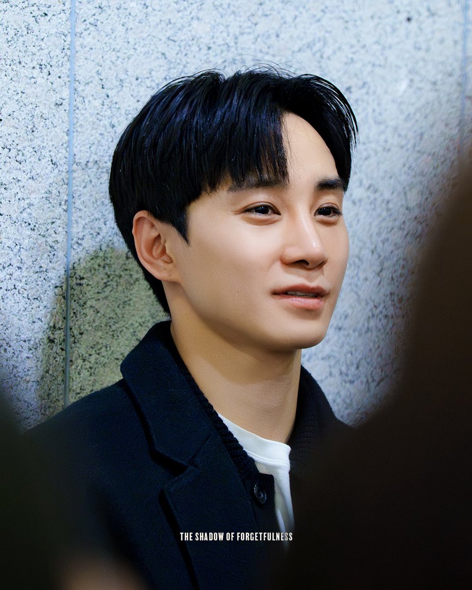 The Shadow of Forgetfulness tweet media