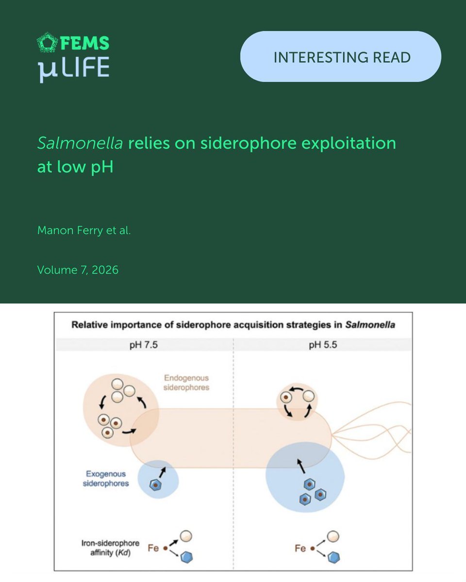 microLife tweet media