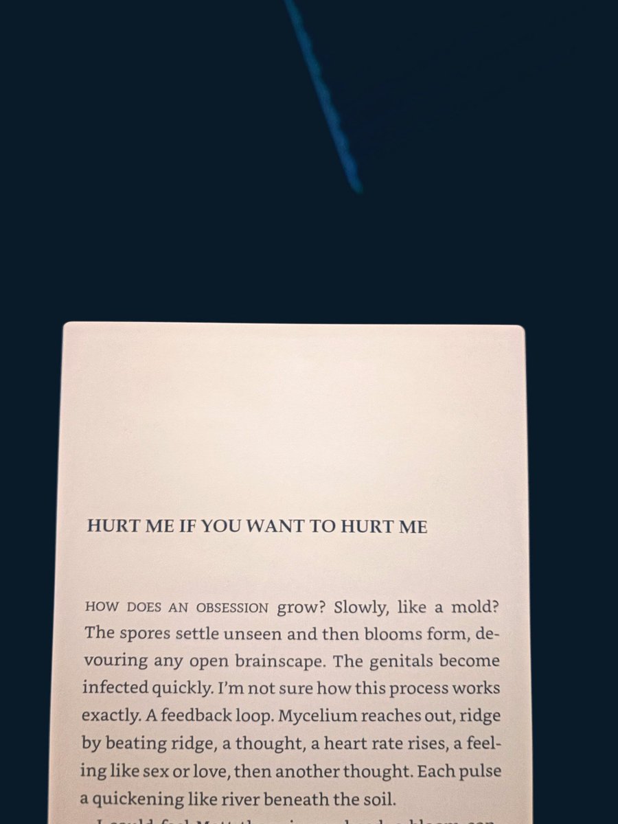 ✧༺༻∞ 𝕰𝖙𝖍𝖊𝖑✧༺༻∞ tweet media