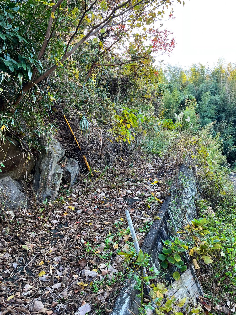 ParadiseKeeperX's tweet photo. 小屋まで行く道を整備 https://t.co/6gvycwmrWm
