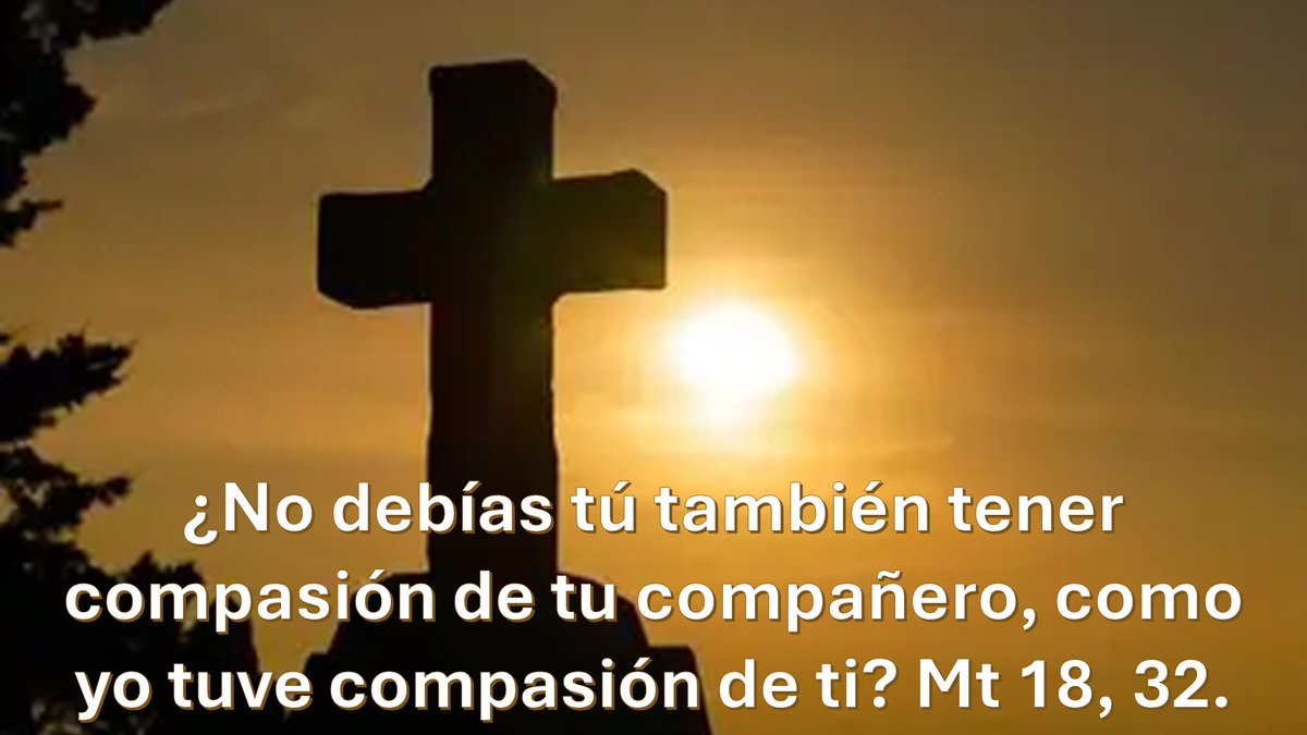 Orar con el evangelio tweet media