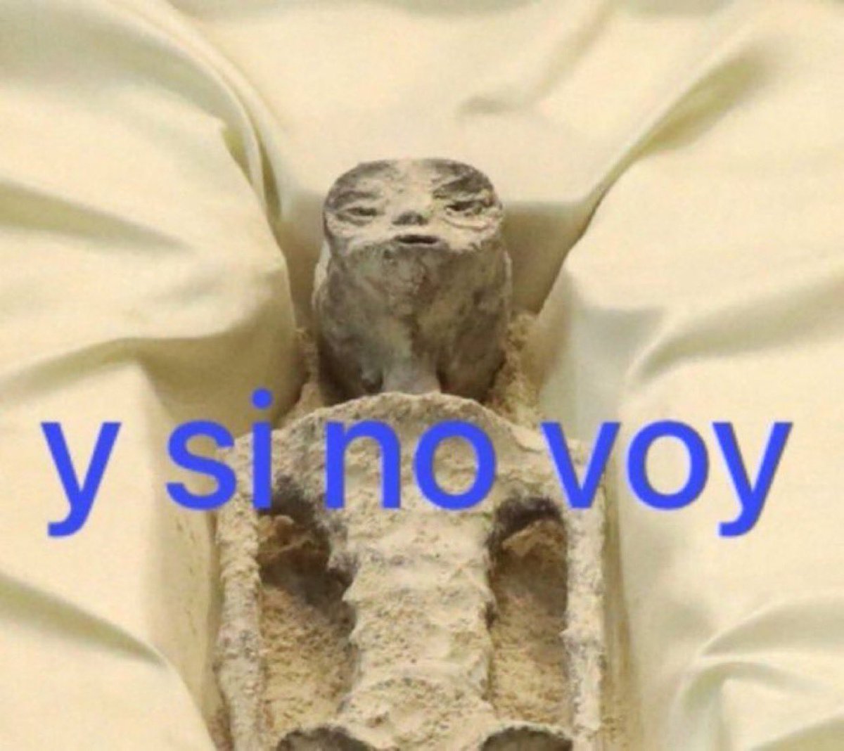 yo todas las mañanas cuando me suena la alarma