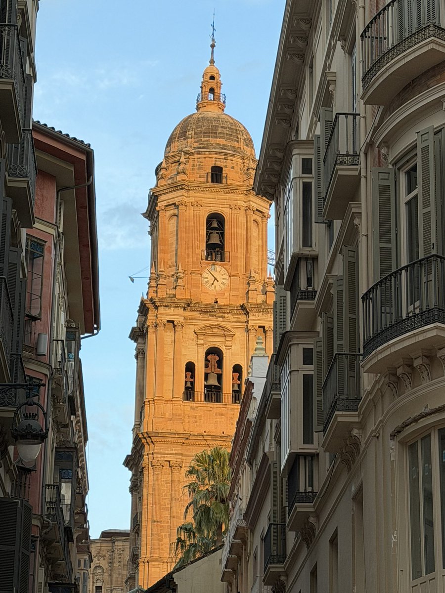 SeaWindowCraster tweet media