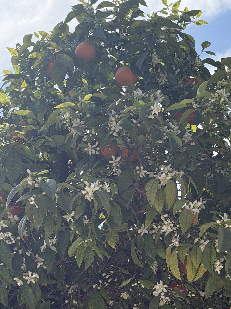 SeaWindowCraster tweet media