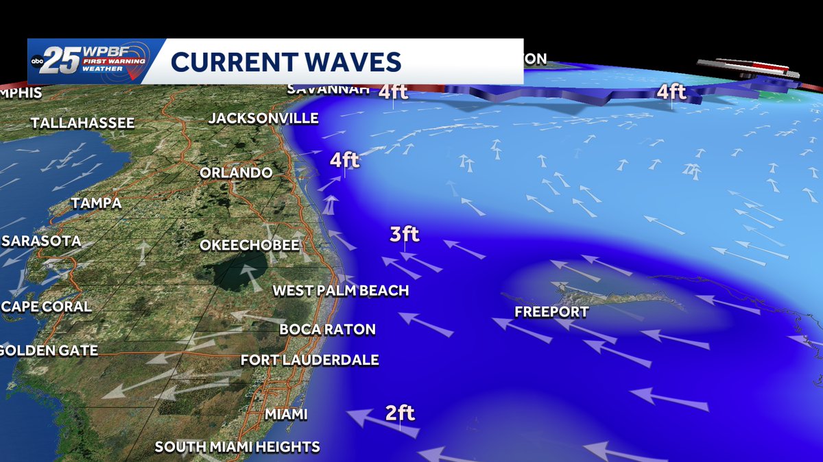 Sandra Shaw tweet media