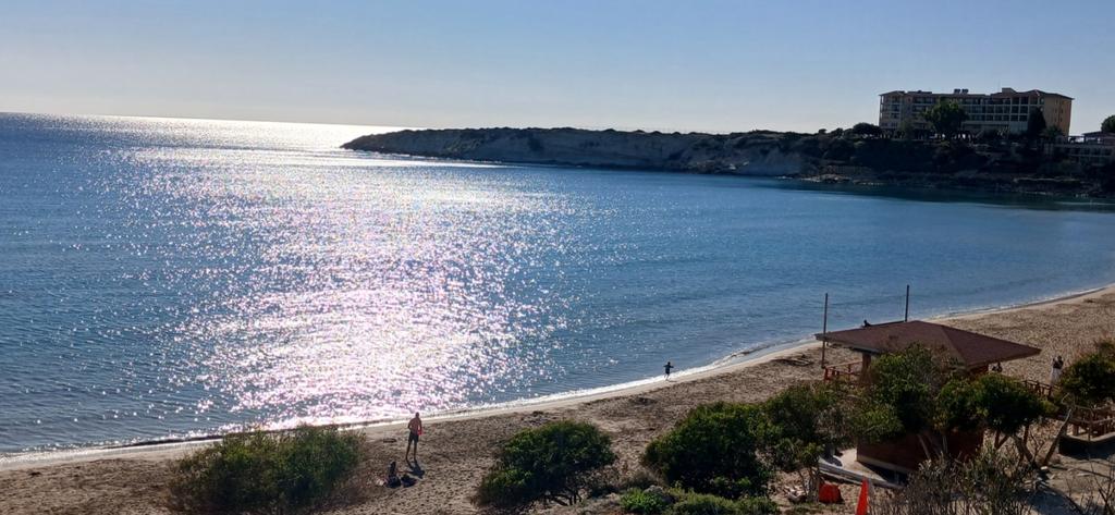 Johno ✖️ tweet media