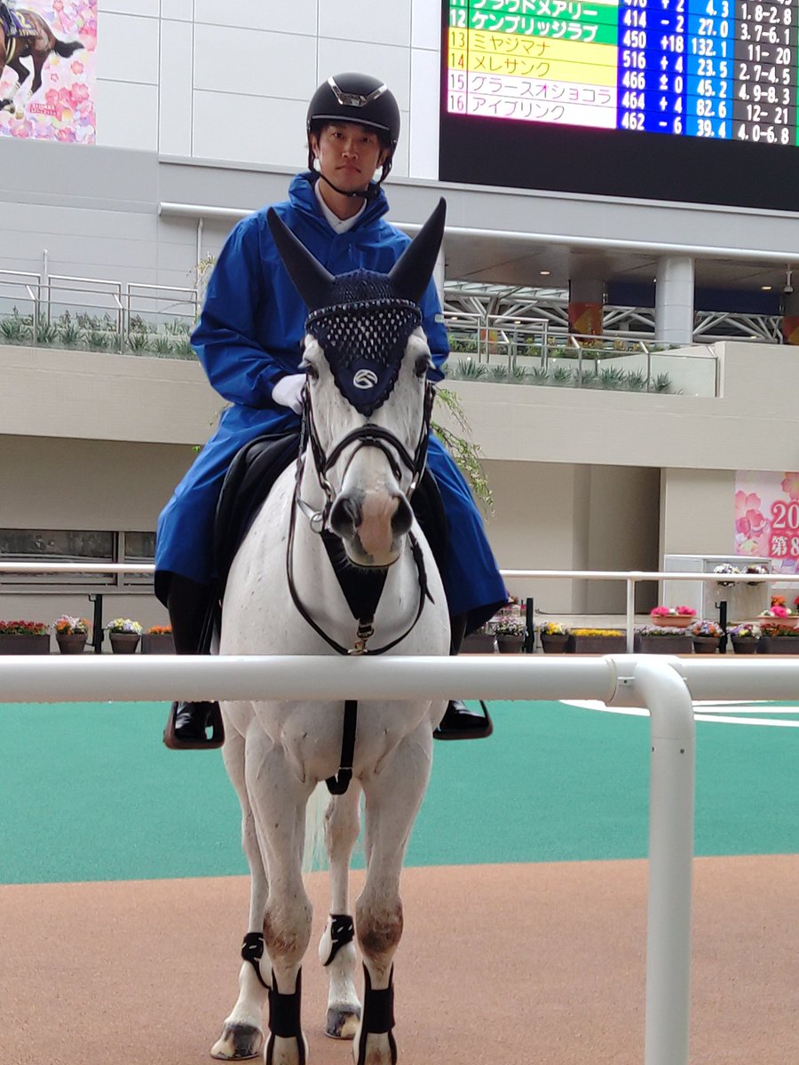 ヘリオＱ tweet media