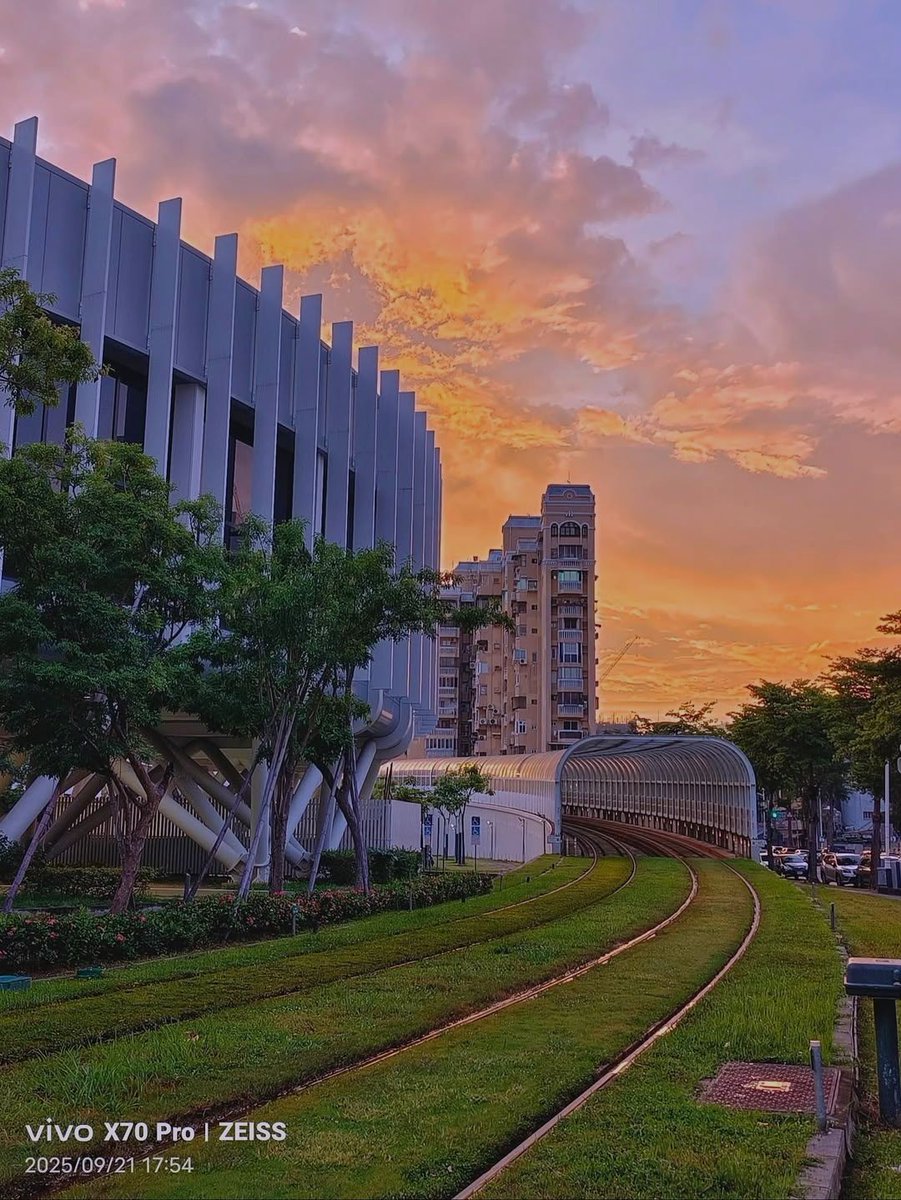 If you need healing today, get some Cantonese dim sum，it's really aromatic and flavorful。🐑