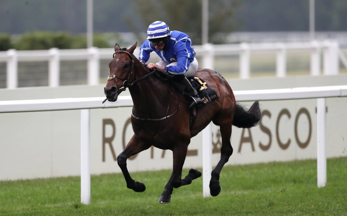 Andrew James tweet media