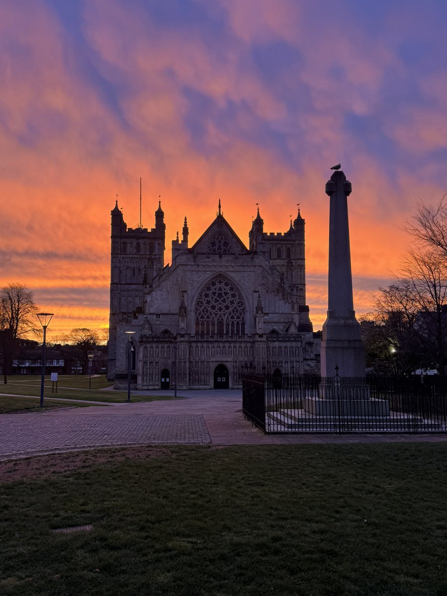 John Harvey 💜 🇺🇦 tweet media