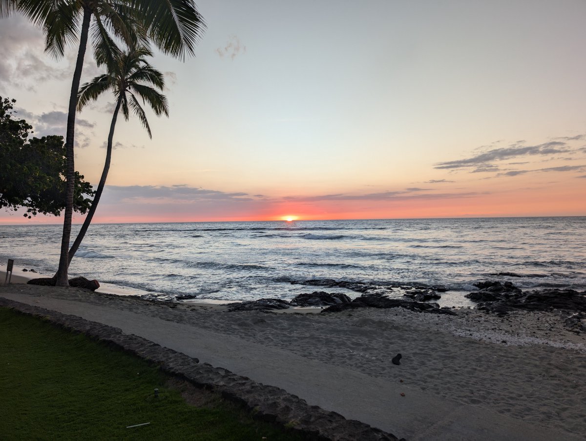 Evil_Merlin tweet media