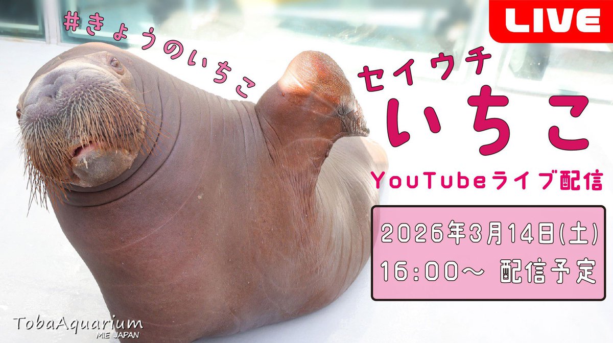 鳥羽水族館（TOBA AQUARIUM） tweet media