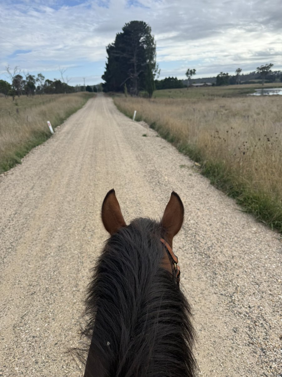 PSS AG (PJ Bradford) tweet media