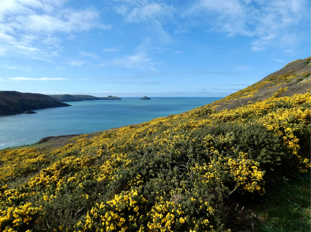 CliffsideKatie's tweet photo. Yesterday's colour palette - nothing finer #Trevan #PortQuinBay https://t.co/jPczBXiMST