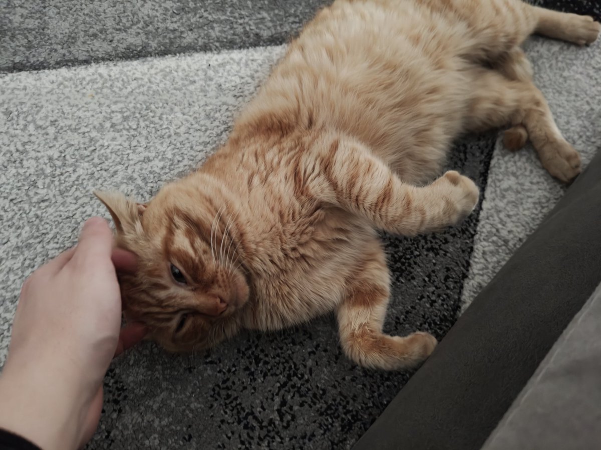 albo🇵🇸 tweet media