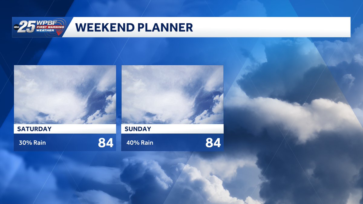 Sandra Shaw tweet media