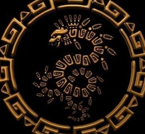 ぬい🐶 tweet media