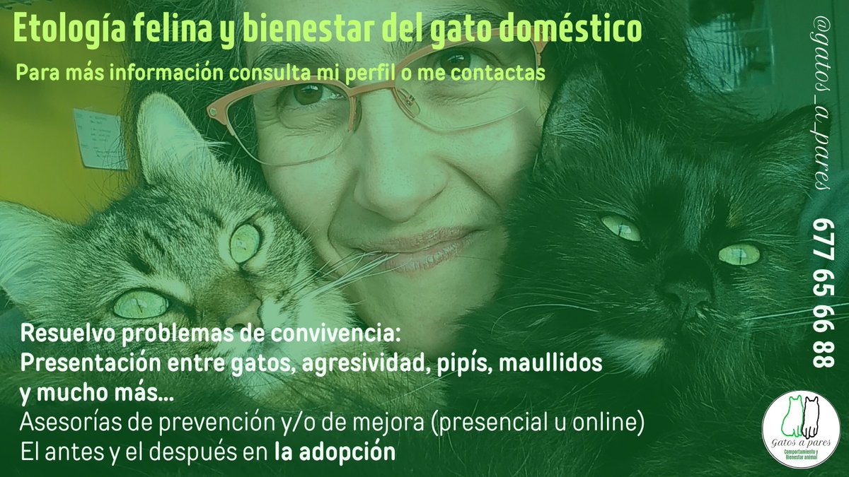 MariaJosepPS's tweet photo. Si quieres resolver un problema de convivencia con tu gato, contáctame sin compromiso. 
#etologiafelina #asesoriafelina #catlovers #gatosapares #bienestaranimal #nocompresadopta https://t.co/EO1pJsAt4V