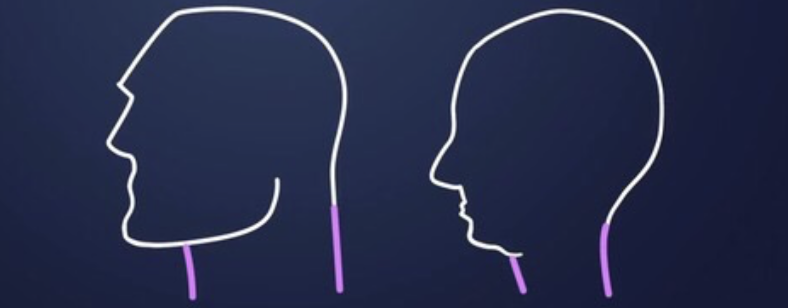 Path of Men tweet media